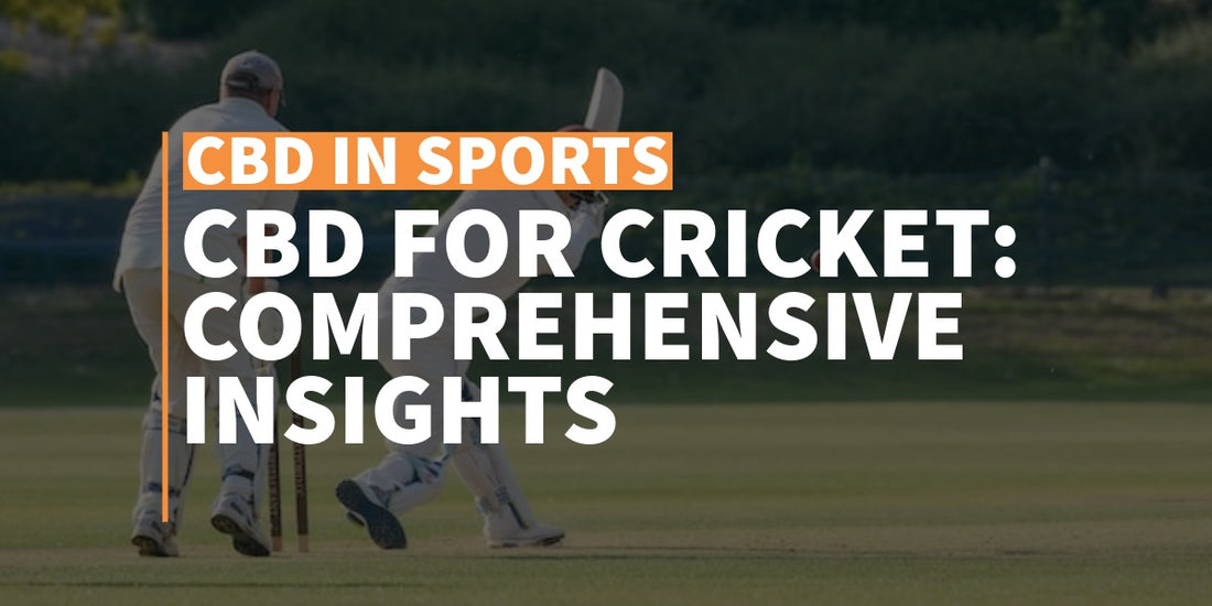 CBD for Cricket: Comprehensive Insights