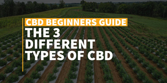 Different Types Of CBD