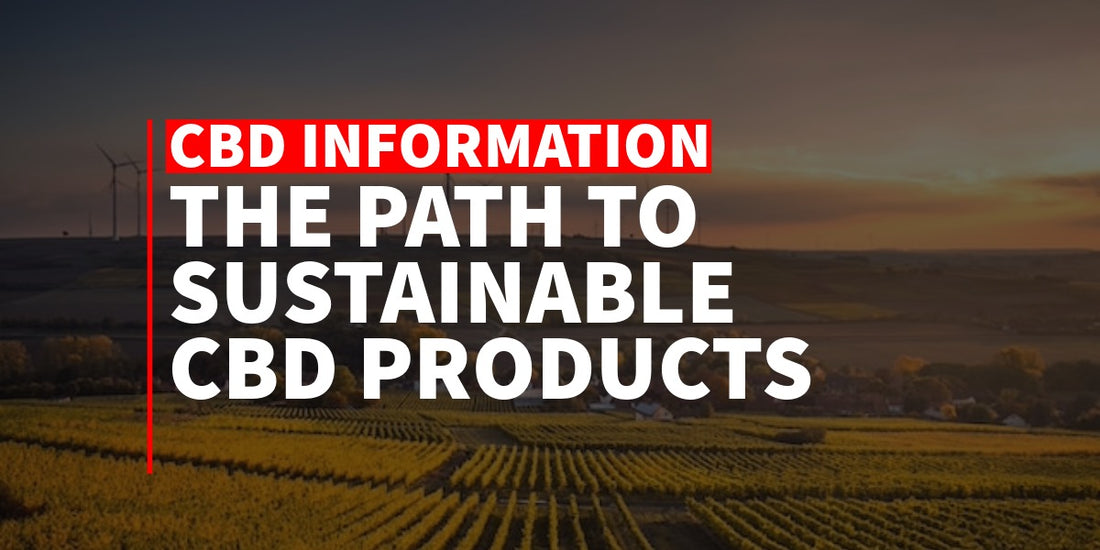 The Path to Sustainable CBD Products